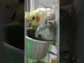 #0055 24/05/26 17:34 | Hora do rango