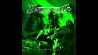 Immortal Souls - Painthings