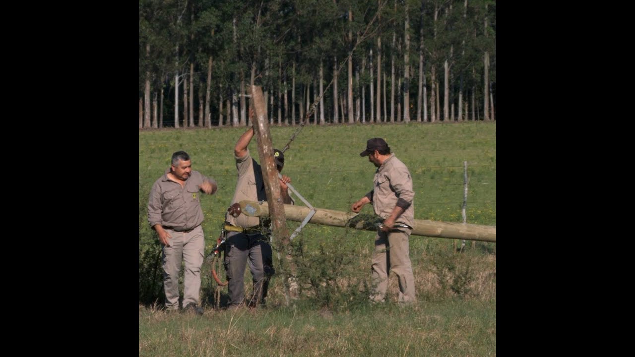 defensa y justicia Más energía eléctrica en Monte Caseros