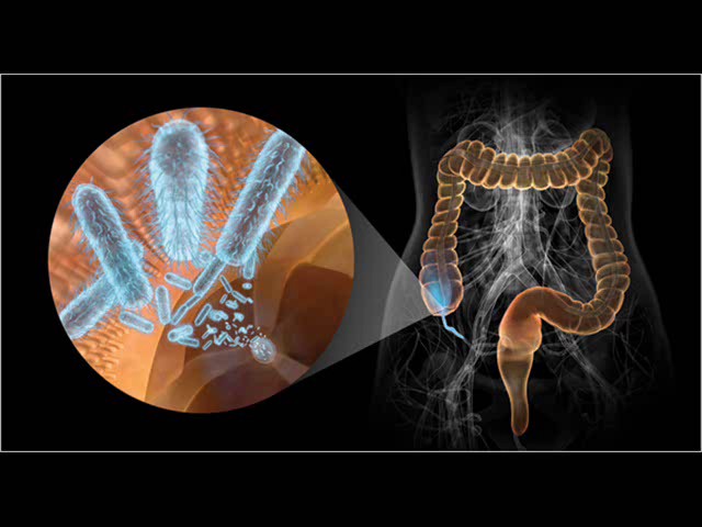 Польза для здоровья кремовое яблоко.