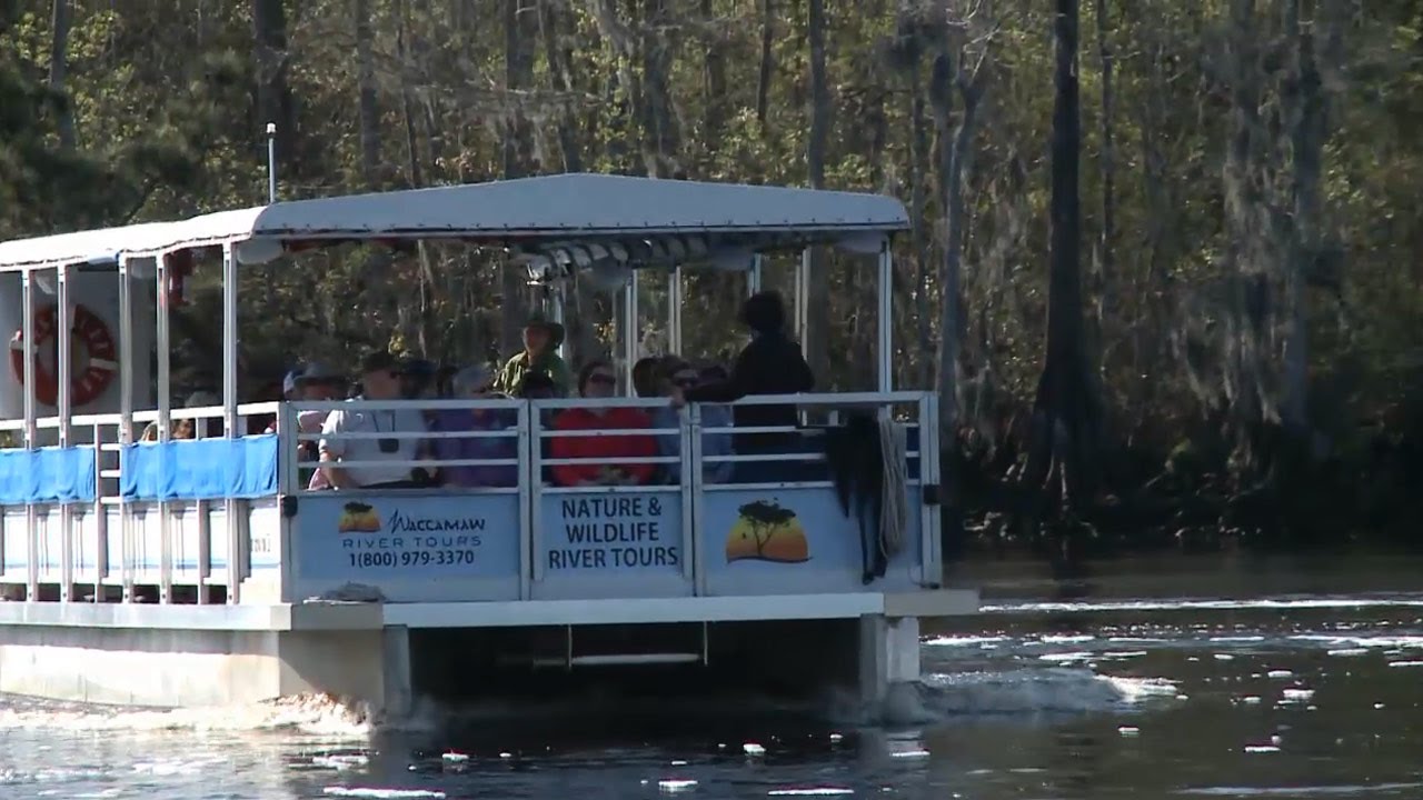 waccamaw river tours myrtle beach sc