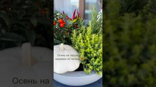 Флористика на террасе: шедевры из ничего