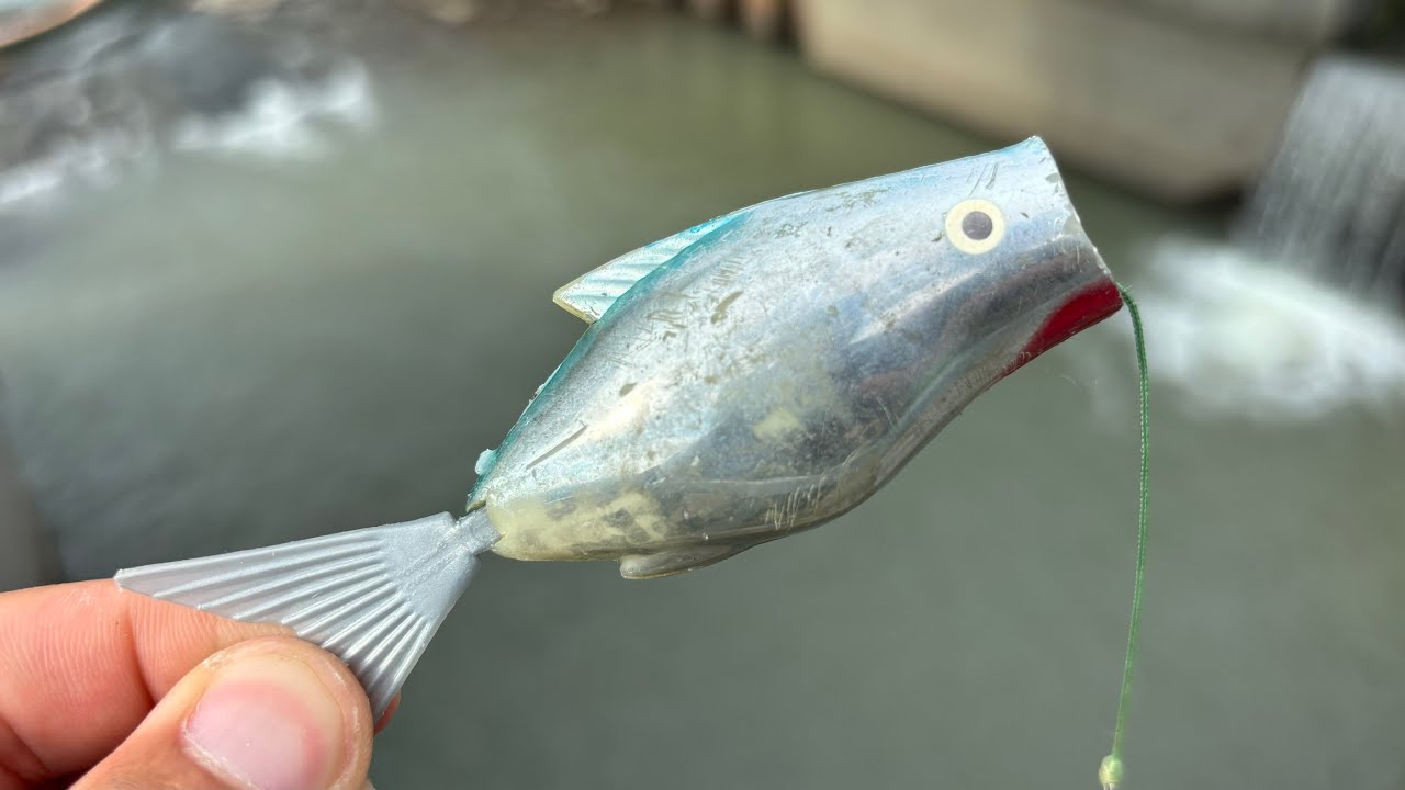 The tragic end of the spring lure - YouTube