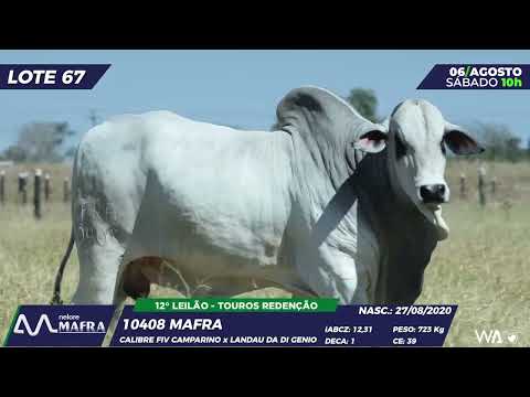 LOTE 67 MFRA 10408