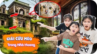 Giải Cứu Mèo Con Trong Nhà Hoang ♥ Min Min TV Minh Khoa