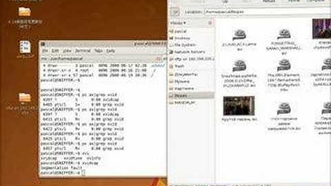 Jumping window (ubuntu, compiz)