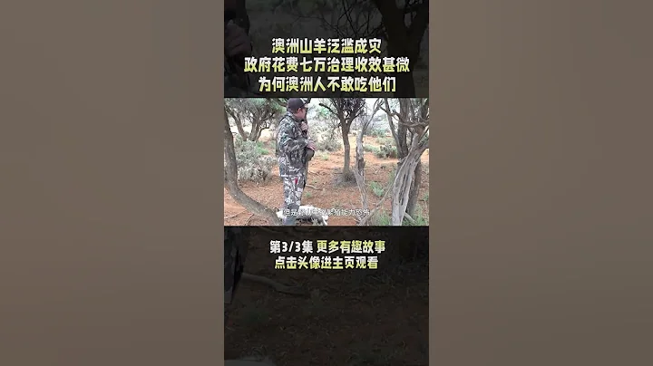 3/3 澳洲山羊泛濫成災，嚴重破壞生態環境，為何澳洲人不吃它們？ #野山羊 #wildgoat - 天天要聞