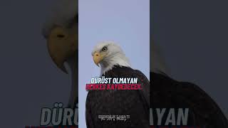 Dürüst Ol Be Honest Resimi