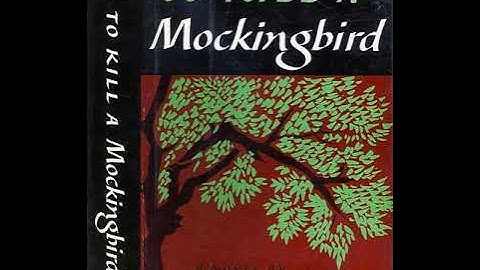 Part 2 of Chapter 19 of To Kill a Mockingbird by Harper Lee, narrated by Greducator