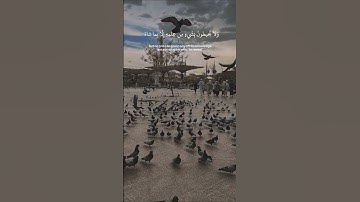 آية الكرسي #اسلام_صبحي | #تلاوة_خاشعة #القرآن_الكريم #اكسبلور