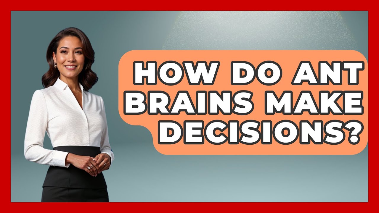How Do Ant Brains Make Decisions? - Reptilian Wonders