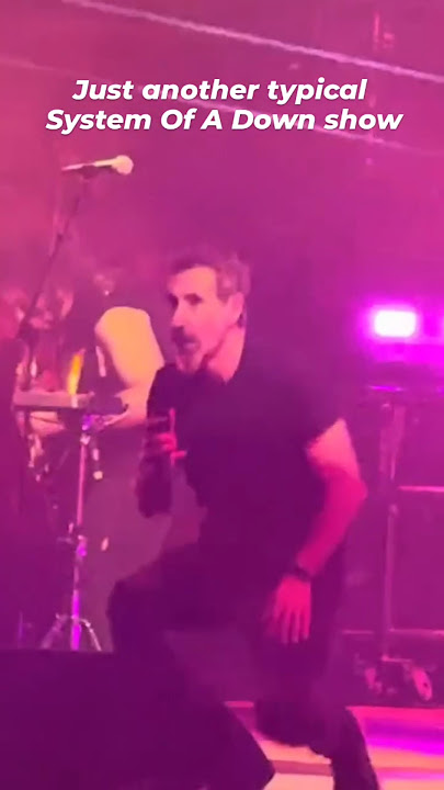 System Of A Down losing it performing Mind live (2025)