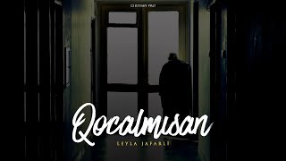 Leyla Jafarli — Qocalmısan (Rəsmi Audio)