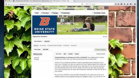 Submitting an e Portfolio as an Assignment in Digication