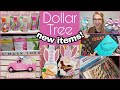 Dollar Tree Haul and Shop With Me! + Easter gnome giveaway announcement