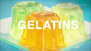 Famous JBS S.A. Wealth