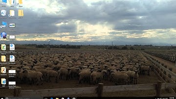 NSIP Pedigree Master Tutorial Data Submission