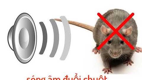 Sóng âm 20000hz đuổi chuột