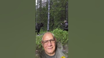 Bear spray doesn’t always work! #bear #bearencounter #backpacking