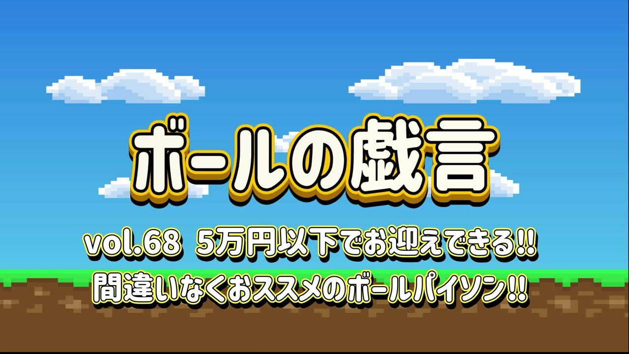 Ball Python] Vol. 68: Must-Watch for Beginners!! Recommended Ball