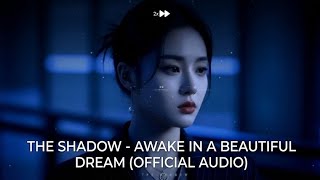 The Shadow Awake In A Beautiful Dream   