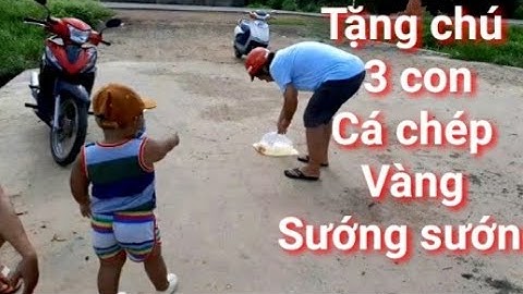 Chày cống huyền thoại 3 con cá chép vàng tặng chú sướng sướng t41 ( Săn bắt AG)