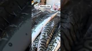 Feira Manaus Moderna