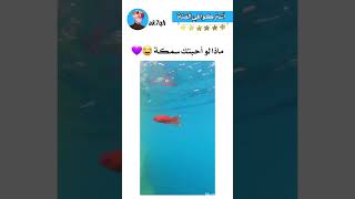 ??❤️  srk bts explore بتس ياالله