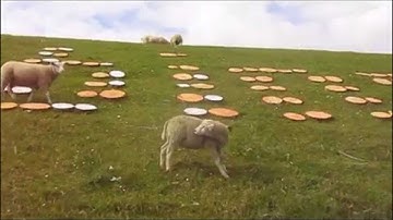 On-Site Poetry - Schat, ben even naar Nollekes (Oerol 2015)