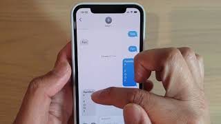 iOS 13 Feature: How to Search For Text in iMessage (It Works) screenshot 3