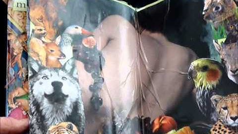 Altered Books -- Tell a Story with a NIche