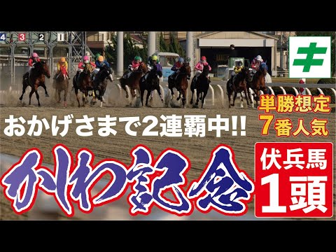 かしわ記念 2022 【予想】おかげさまで２連覇中！推定７番人気の穴馬から全力勝負だ！