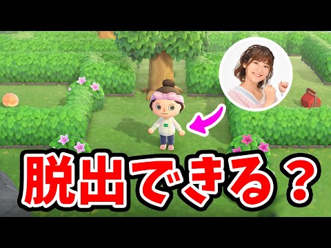 【あつ森】１度しか行けない「謎解きの島」に寝起きで行ってみた結果‥【あつまれ どうぶつの森】