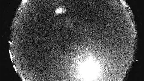 A Sky Full of Perseids