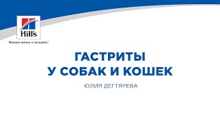 Вебинар на тему: "Гастриты у собак и кошек". Лектор - Юлия Дегтярева