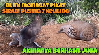 BL ini Membuat Pikat Si Rabi Pusing 7 Keliling. Akhirnya Berhasil Juga