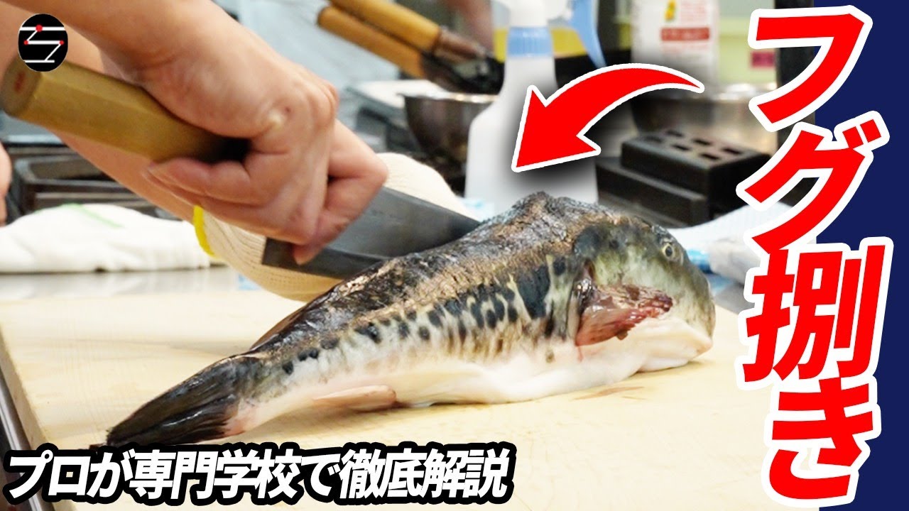ふぐ中俣によるグフの捌き方をお見せ致します。専門学校で完全解説！