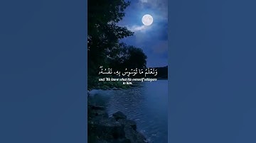 راحة نفسية🌿اجمل حالات واتس اب قران كريم بصوت جميل جدا طارق محمد 🎧💖 تلاوة خاشعة ومؤثرة🌸🍃 Quran status