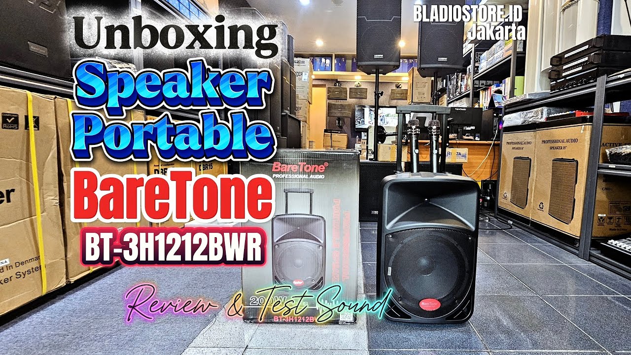 Portable Wireless Speaker BARETONE BT-3H1212BWR | 12 Inch Bahan Fiber
