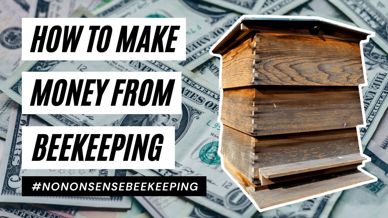 Make Money from Bees - How To Make Money from Beekeeping - How Much Do