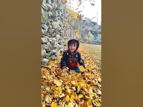 happy independence day of gilgit baltistan