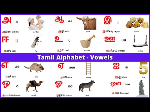 Tamil alphabets | Tamil Vowels | Learn Entry