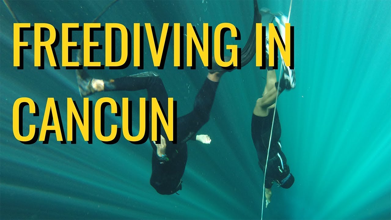 Freediving in Cancun Cenotes Cancun YouTube