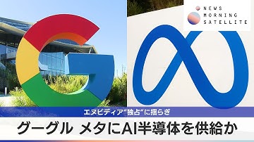 エヌビディア“独占”に揺らぎ　グーグル メタにAI半導体を供給か【モーサテ】