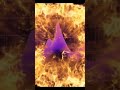 somebody send this beat to either Kanye West or Young Thug this some good music here! like and share