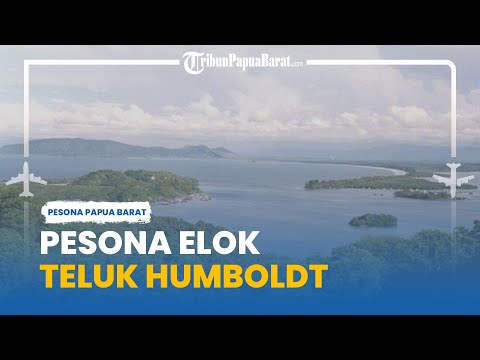 Video: Pantai Daerah Humboldt: Panduan Lengkap