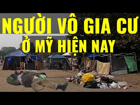 Video: Số lượng người vô gia cư ở Mỹ năm 2019 là bao nhiêu?