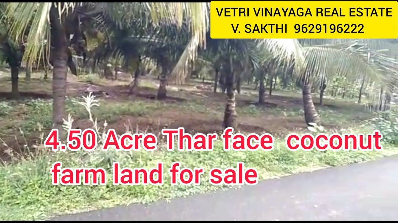 [26] 4.50 Acre Thar face Coconut farm land for Sale palladam to Udumalpet Road VETRI
