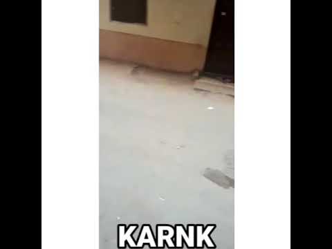 يوم العيد خراب في المرج