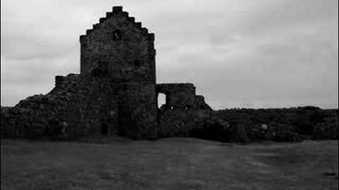 Nest - The Silvershade Lynx